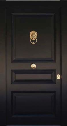 Brass lion head door knocker close-up